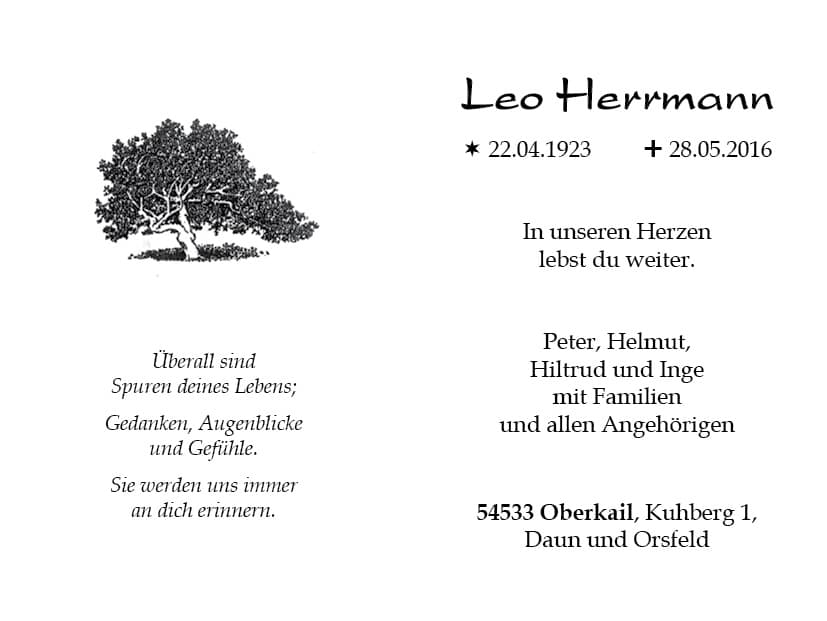 Herr Leo Herrmann